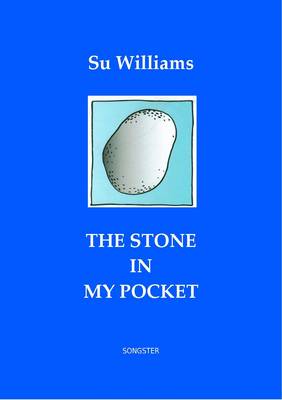 Book cover for The Stone in My Pocket