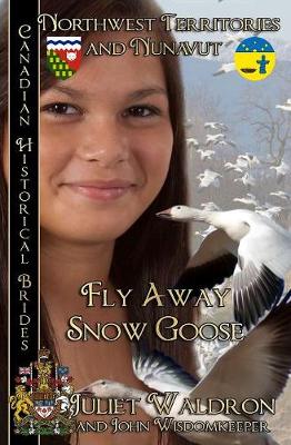 Cover of Fly Away Snow Goose