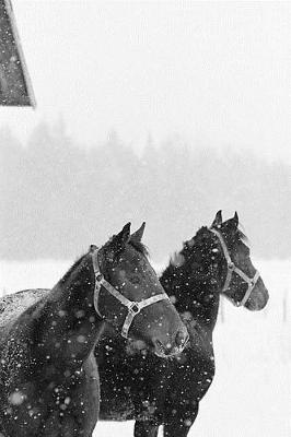 Book cover for Equine Journal Horses Snowstorm