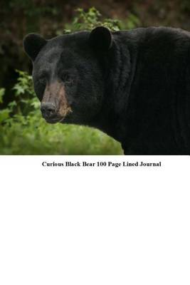 Book cover for Curious Black Bear 100 Page Lined Journal