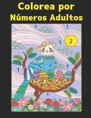 Book cover for Colorea por Números Adultos