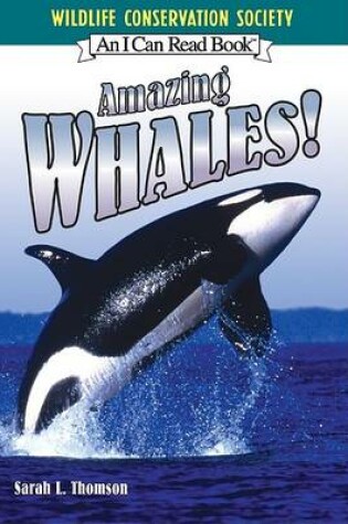 Cover of Amazing Whales!