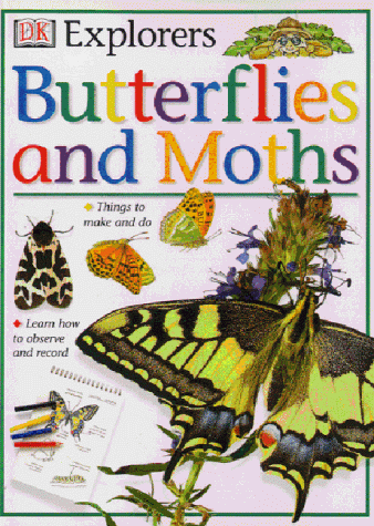 Book cover for DK Explorers Butterflies & Moths