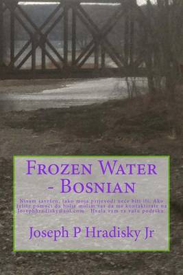 Book cover for Frozen Water - Bosnian