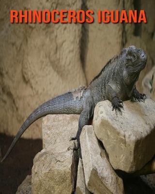 Book cover for Rhinoceros Iguana