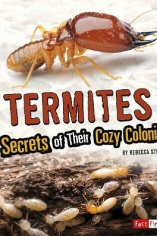 Cover of Amazing Animal Colonies Termites Secrets of Their Cozy Colonies