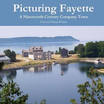 Book cover for Picturing Fayette