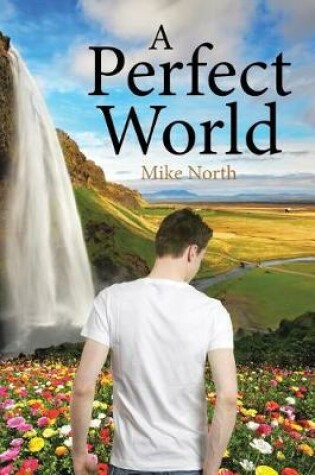 Cover of A Perfect World