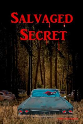 Book cover for Salvaged Secret