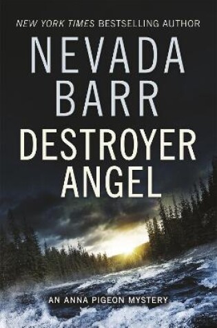 Cover of Destroyer Angel