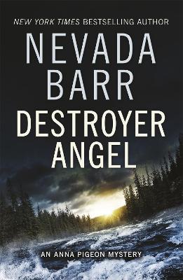 Book cover for Destroyer Angel