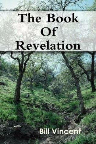 Cover of The Book Of Revelation
