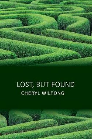 Cover of Lost, But Found