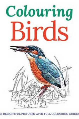 Cover of Colouring Birds