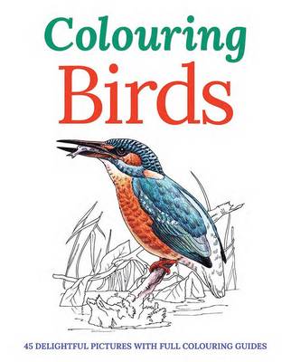 Book cover for Colouring Birds