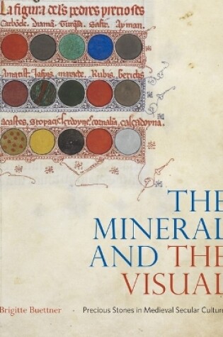 Cover of The Mineral and the Visual
