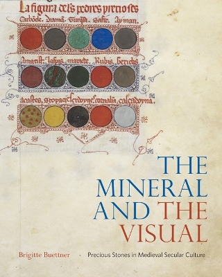 Book cover for The Mineral and the Visual