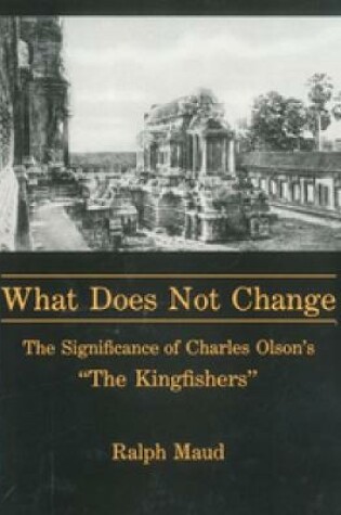 Cover of What Does Not Change