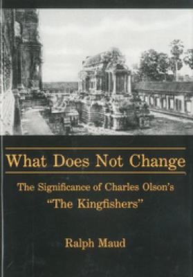 Book cover for What Does Not Change