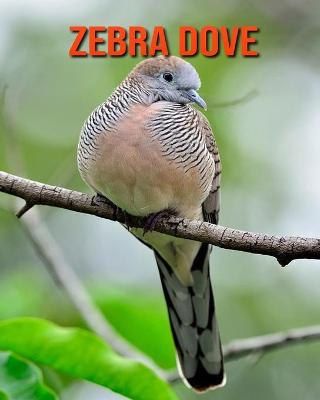 Book cover for Zebra Dove