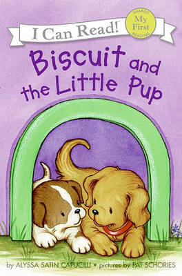 Book cover for Biscuit and the Little Pup