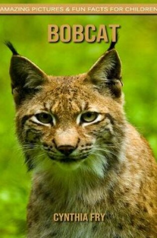 Cover of Bobcat