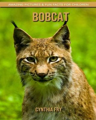 Book cover for Bobcat