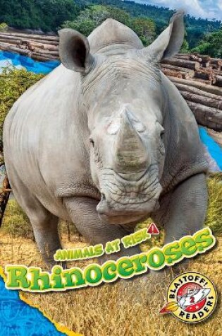 Cover of Rhinoceroses