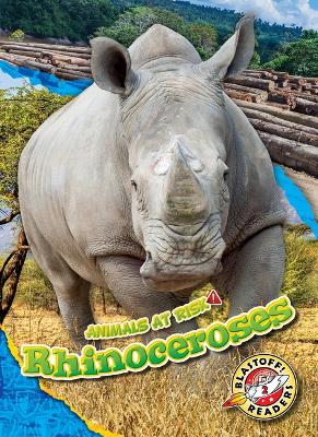 Book cover for Rhinoceroses
