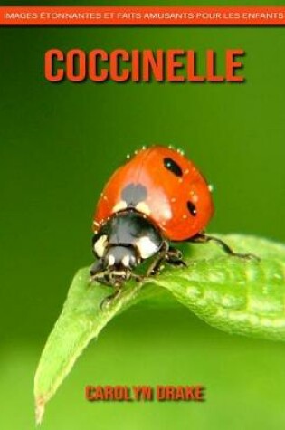 Cover of Coccinelle