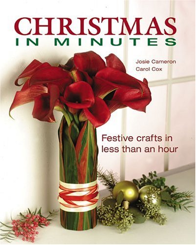 Book cover for Christmas in Minutes
