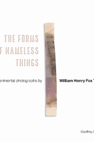 Cover of The Forms of Nameless Things