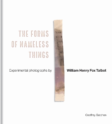 Cover of The Forms of Nameless Things