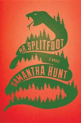 Cover of Mr. Splitfoot