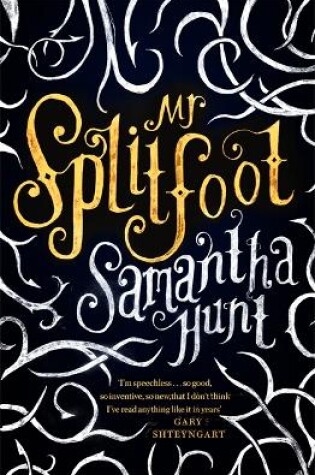 Cover of Mr Splitfoot