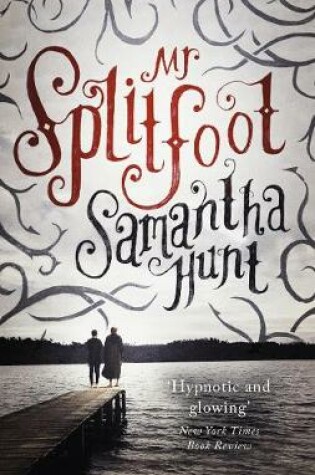Cover of Mr Splitfoot