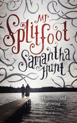 Book cover for Mr Splitfoot
