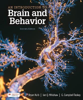 Book cover for An Introduction to Brain and Behavior