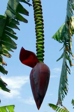 Cover of Banana Tree Flower