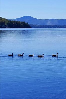 Book cover for 2020 Weekly Planner Canadian Geese Mountain Lake 134 Pages