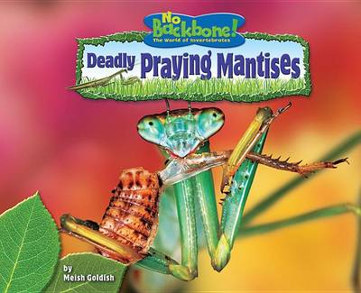 Book cover for Deadly Praying Mantises