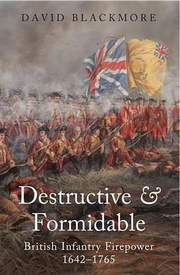 Book cover for Destructive & Formidable