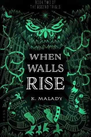 Cover of When Walls Rise