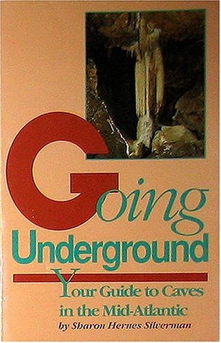 Book cover for Going Underground