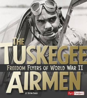 Book cover for Tuskegee Airmen: Freedom Flyers of World War II (Military Heroes)