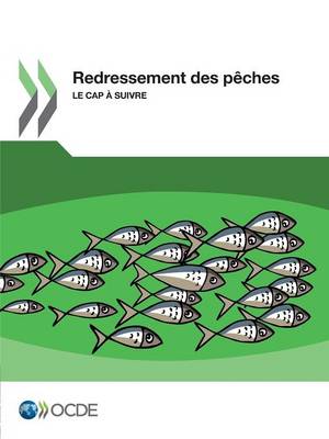 Book cover for Redressement des peches