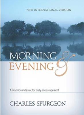 Book cover for Morning & Evening NIV