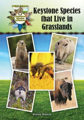 Book cover for Keystone Species That Live in Grasslands