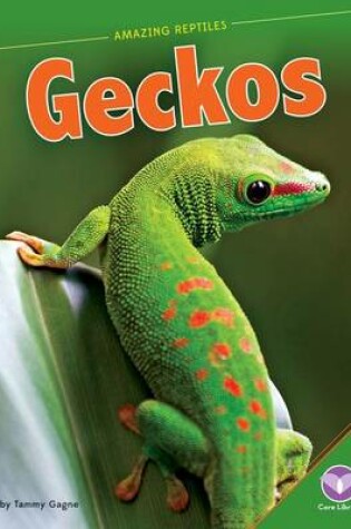 Cover of Geckos