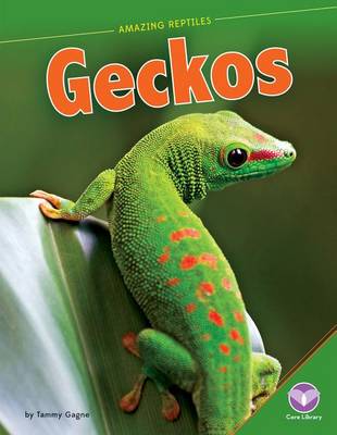 Book cover for Geckos